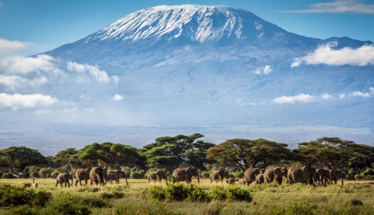 10 Day Mount Kilimanjaro Trek The Machame Route A&K